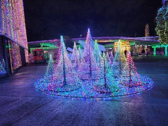 イルミネーション✨️