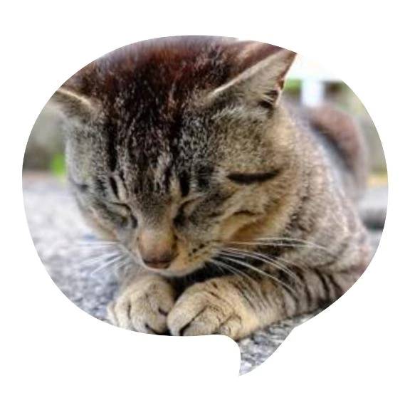 ごめんなさい(..)