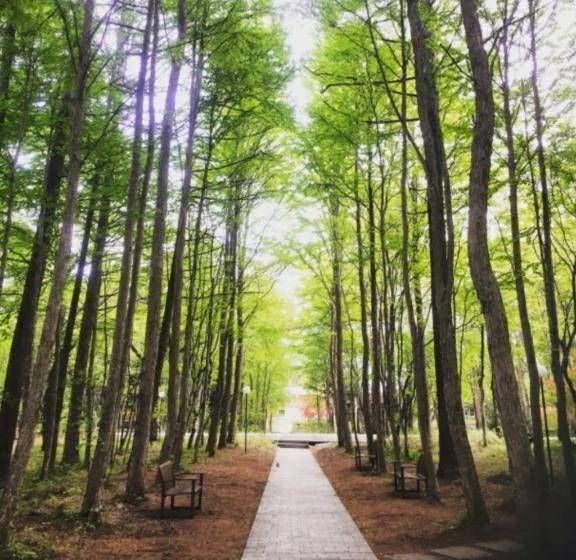 今日は暖かいですね(*^^*)