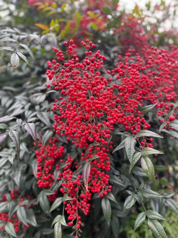 かなりご無沙汰してますが