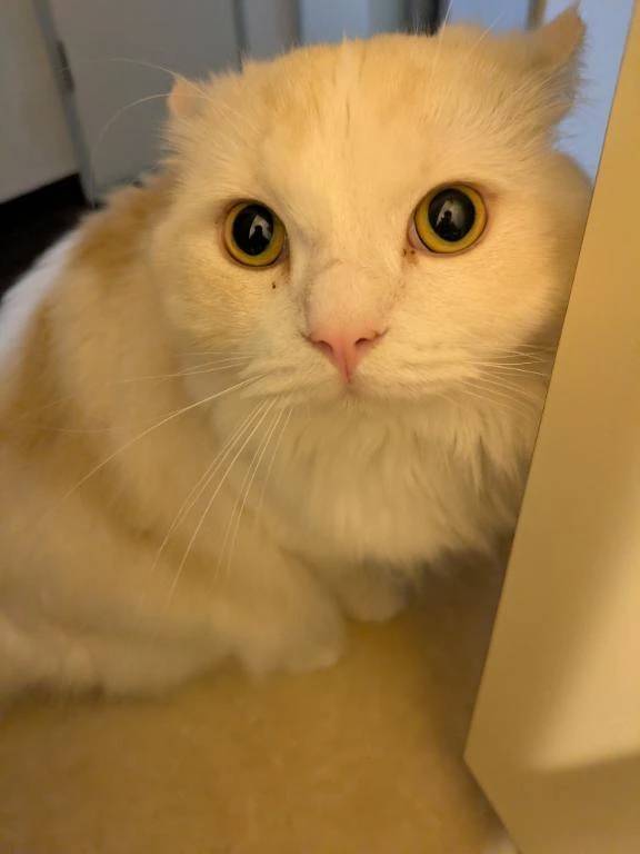 完熟バナナ立川店🍌れいな