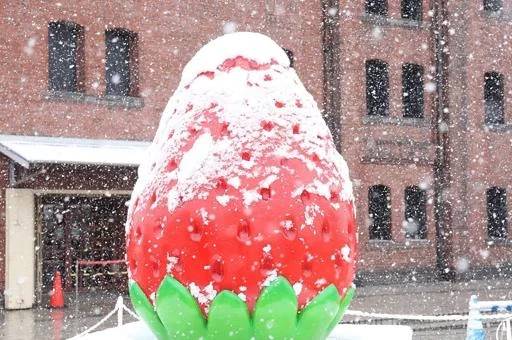 完熟ばなな八王子店　いつきです🤗