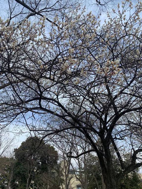 こんにちは☀️