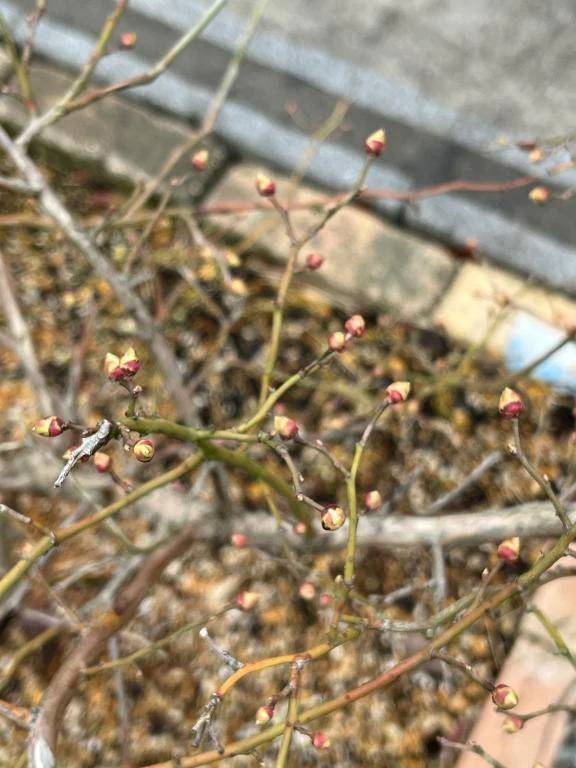 おはようございます