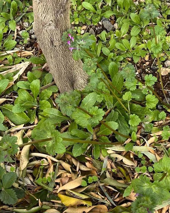 おはようございます