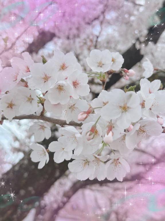 おはようございます☆