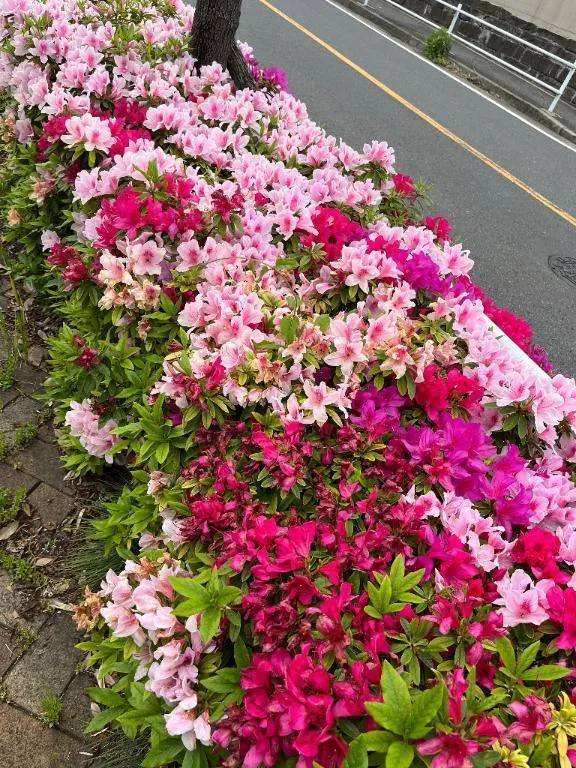 こんにちは
