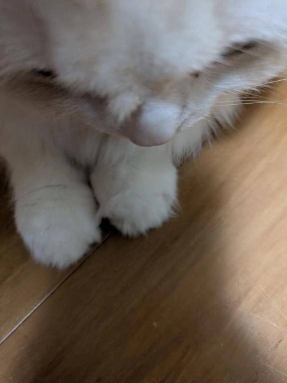 完熟バナナ立川店🍌れいな