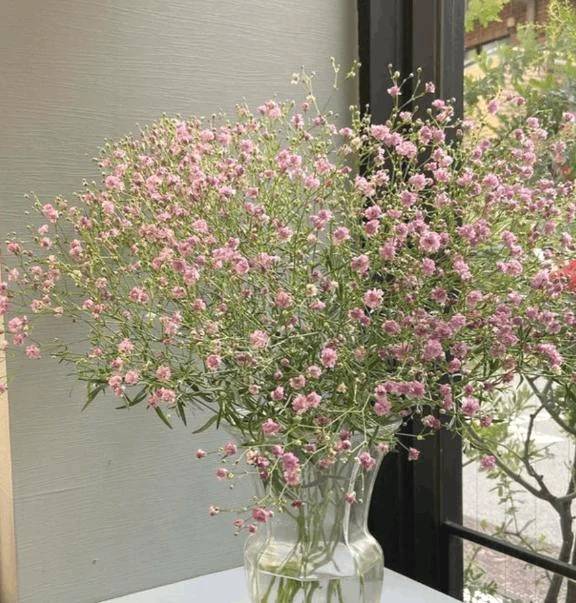 🌷気がつけば一年の折り返しですね🌷