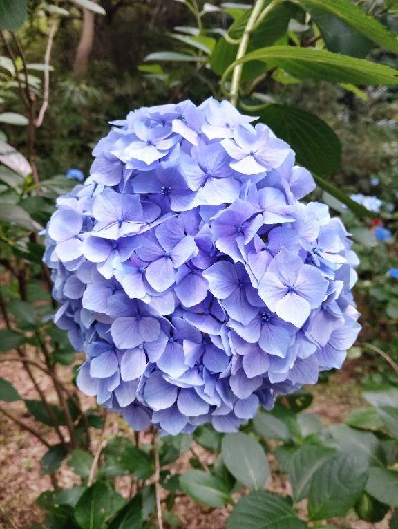 6月会いに来てくれたお兄様、ありがとうございました♥😊💕
