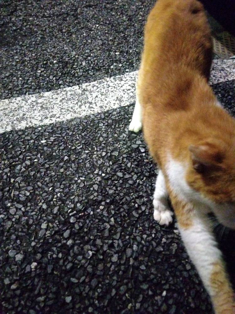 きょう