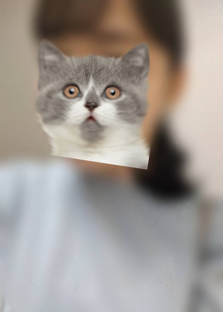 でるよ