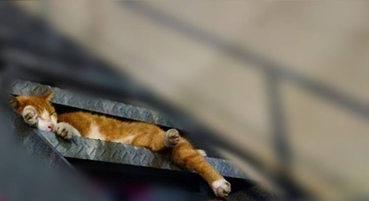 みなと(神田ハンドメイド)