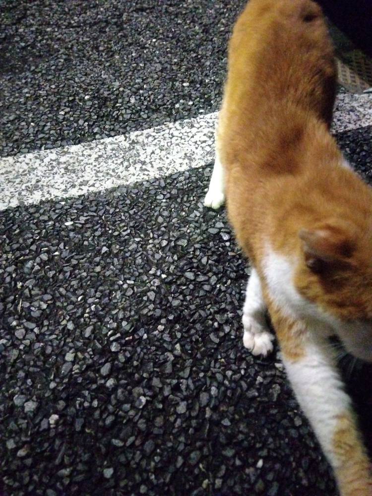 みなと(神田ハンドメイド)