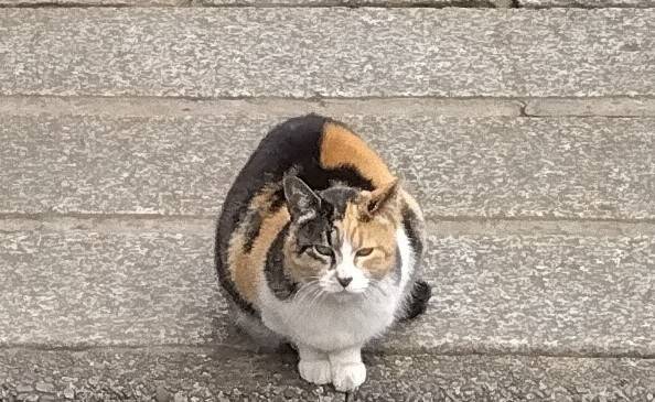 みなと(神田ハンドメイド)