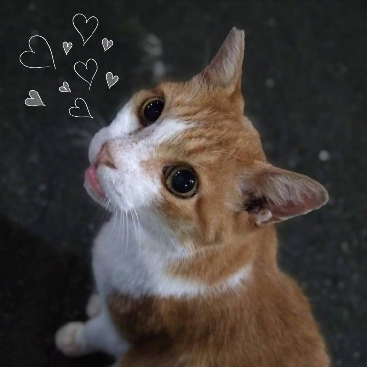 みなと(神田ハンドメイド)