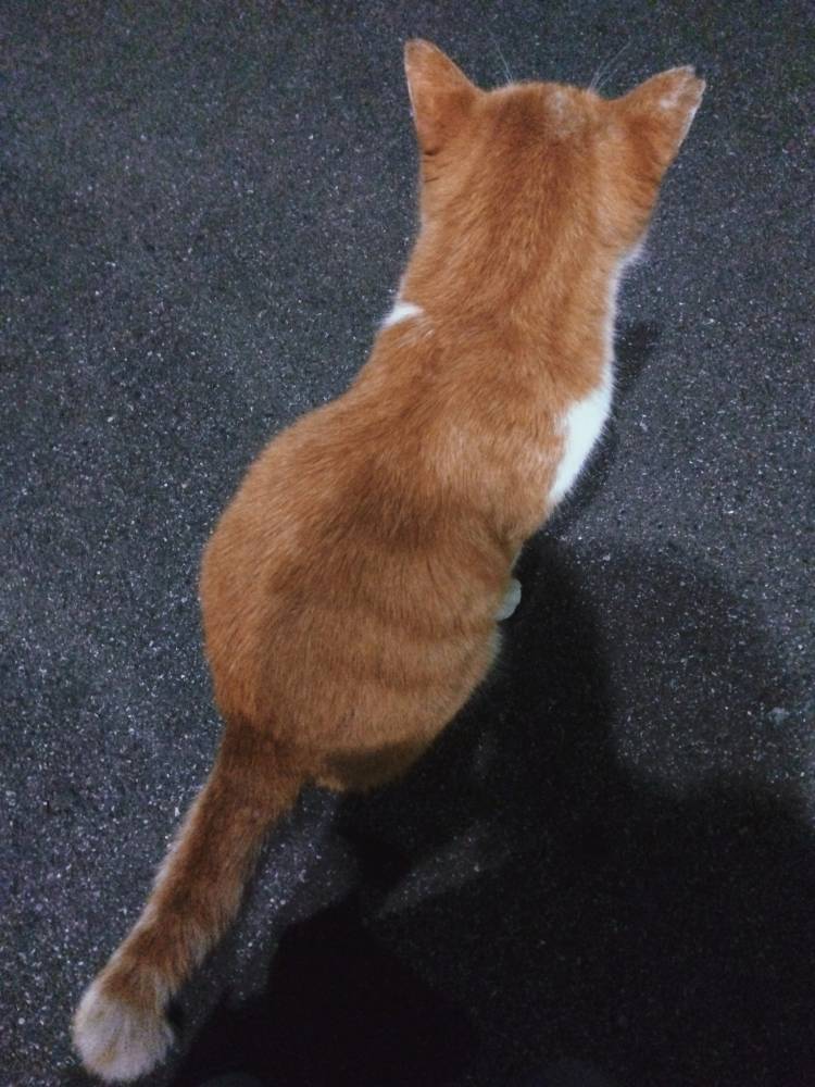 にちようび