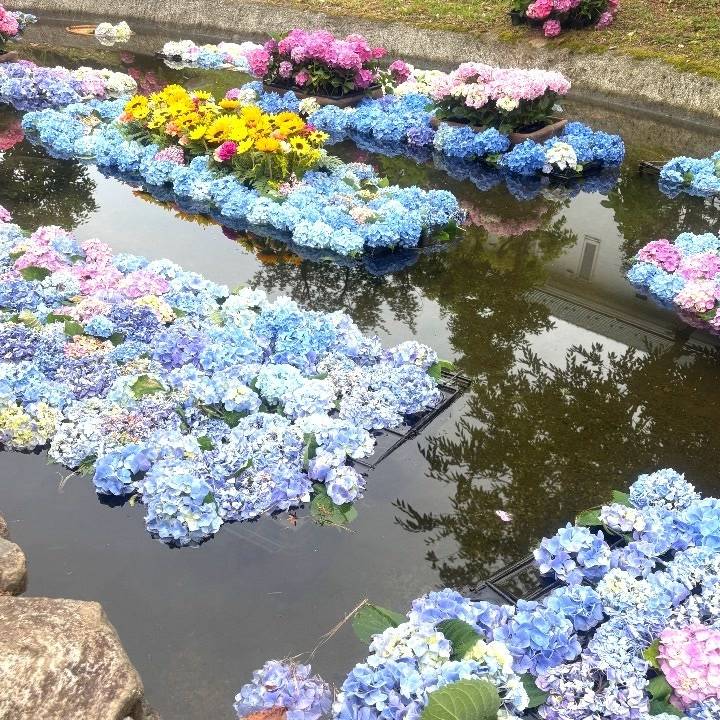 はぴ