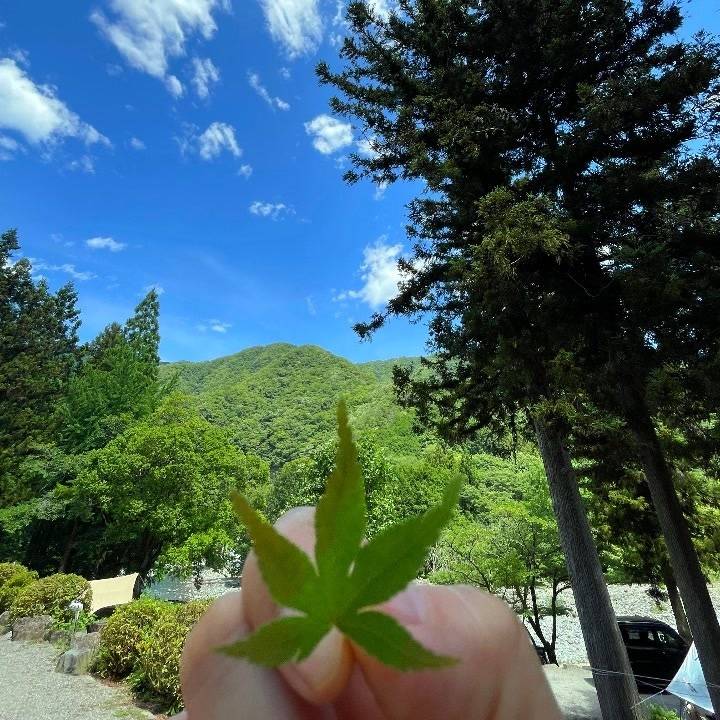 明日出勤✨まほ