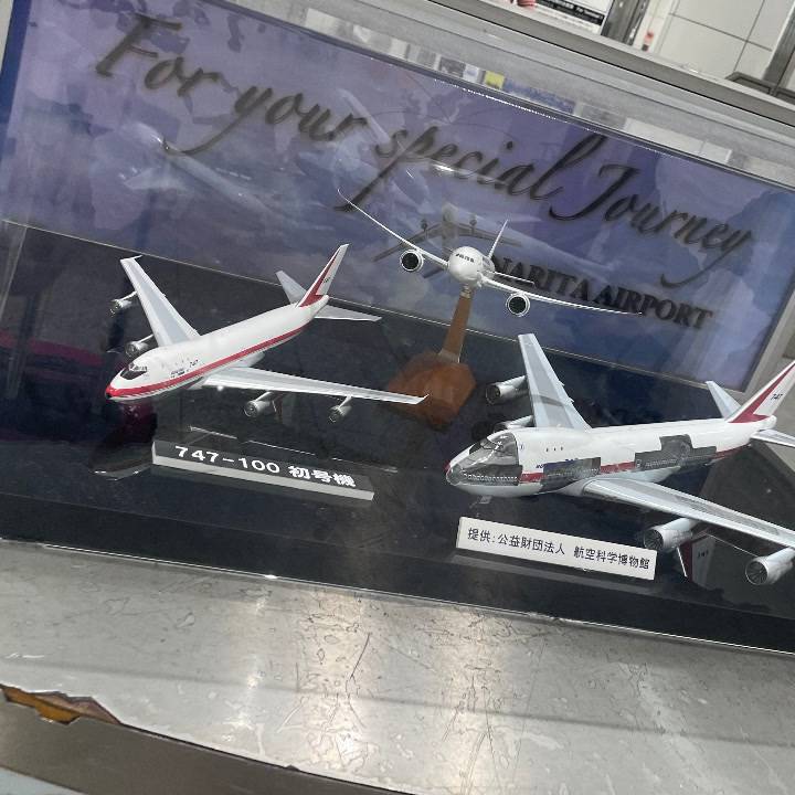 びゅん✈️