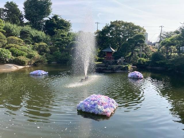 本日☆