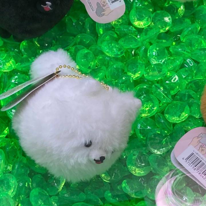 いろいろあるよね