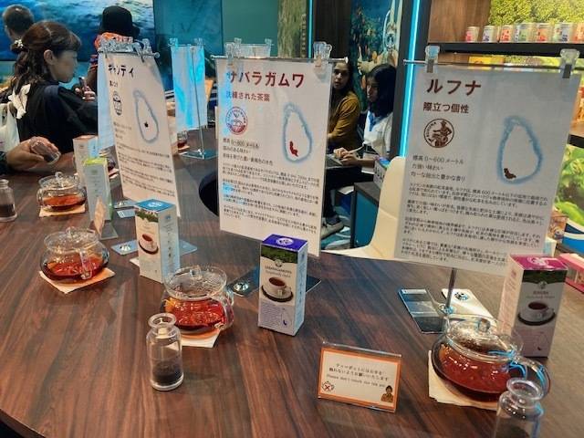 スリランカ☆