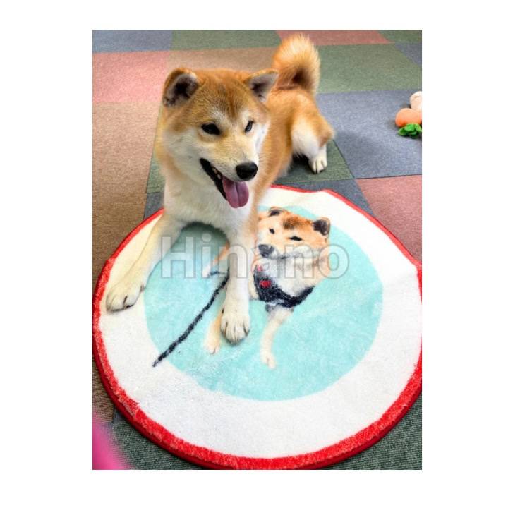 アラシ部長に贈呈式🐕