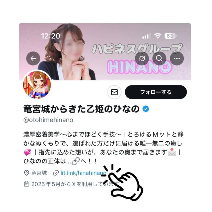 ひなのの情報まとめ🔗