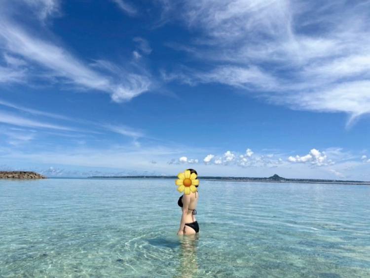 🏝️８月前半の出勤日🐢