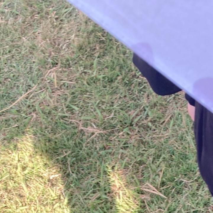 久々の