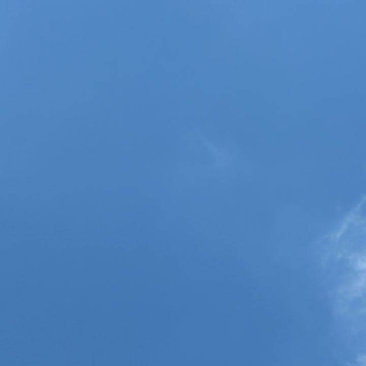 いよいよ本格始動。。。