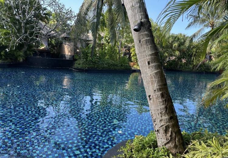 りほさん説明書其の２🍎