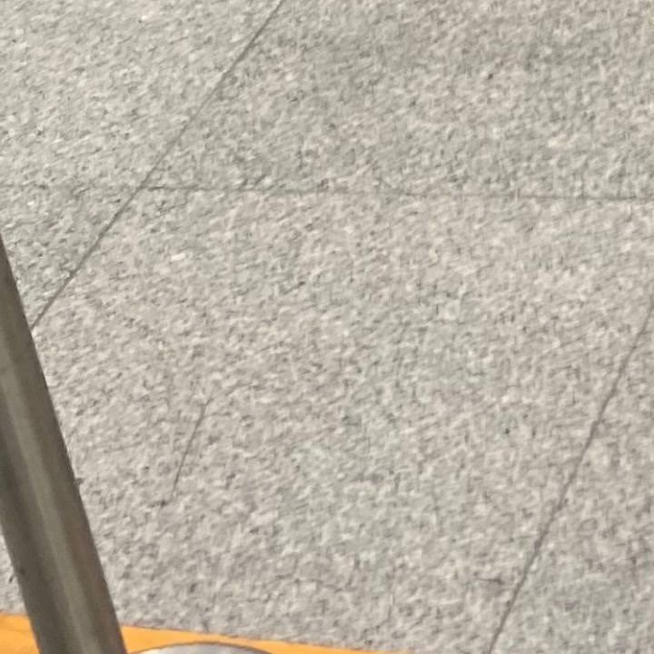 なにしてるの？