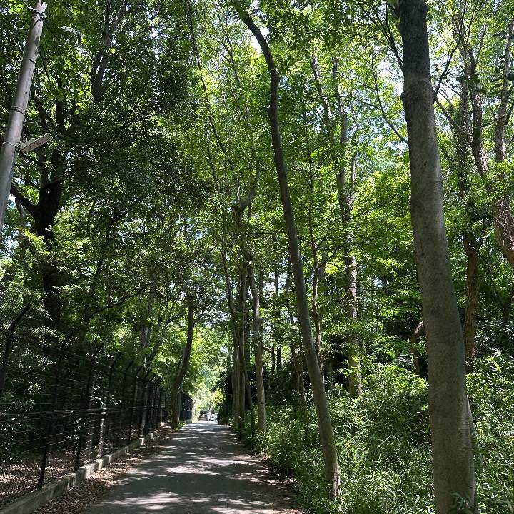 完売です🙇‍♀️