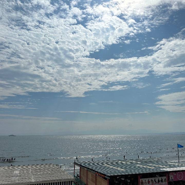 明日です！