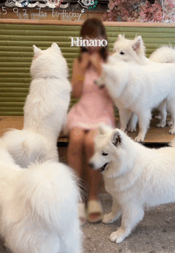 非日常で高まる鼓動💞