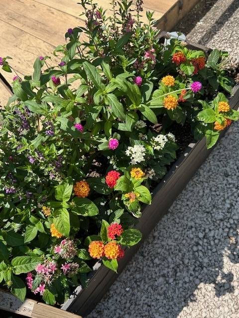 お礼とお詫び。