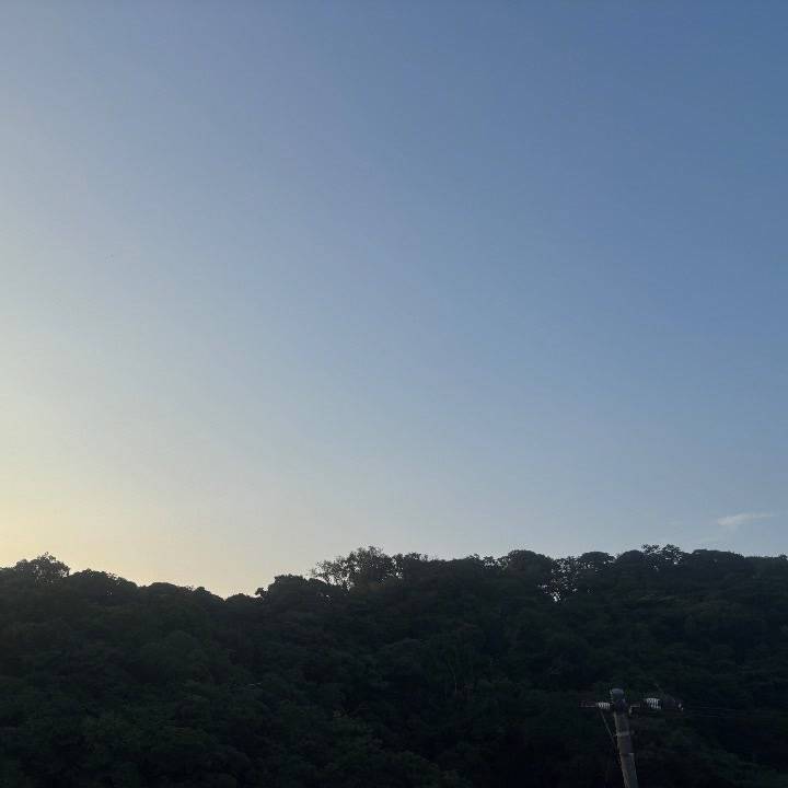 朝の風〜🍃