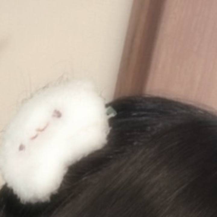 なにしたらいいか、、