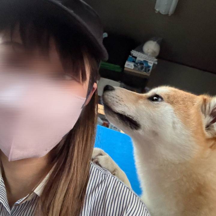 あらし部長🐕