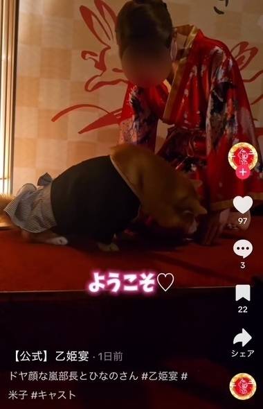 TikTokに載ってるよ