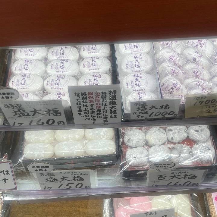 トンガ🐳夢ができたよ✨️ありがとう！！来年行ってきます🫶