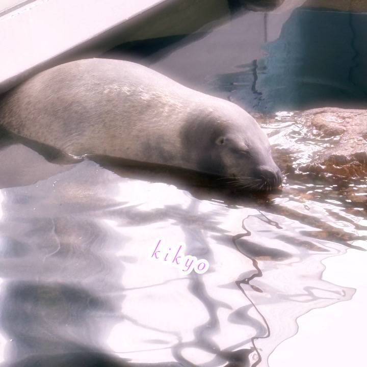 おねんね😪