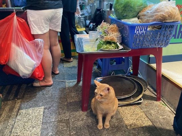 本日☆