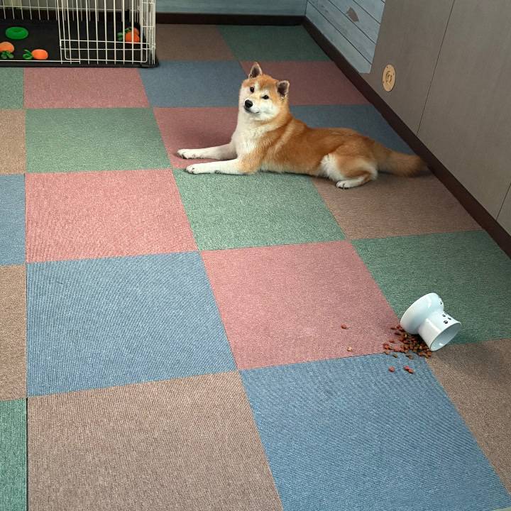 当日のお休みすみません