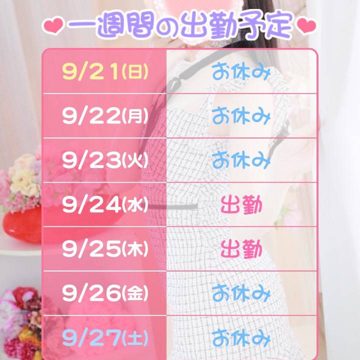 今週の予定