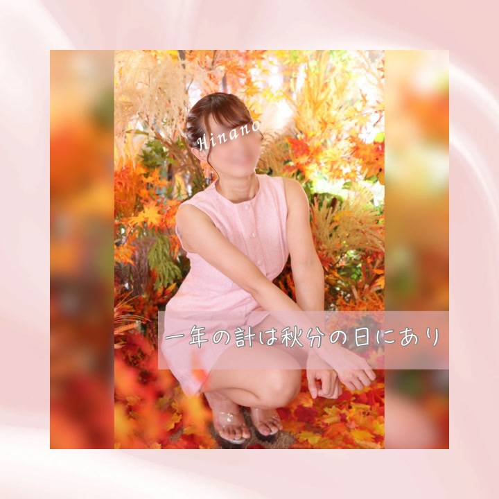 一年の計は秋分の日にあり🍂