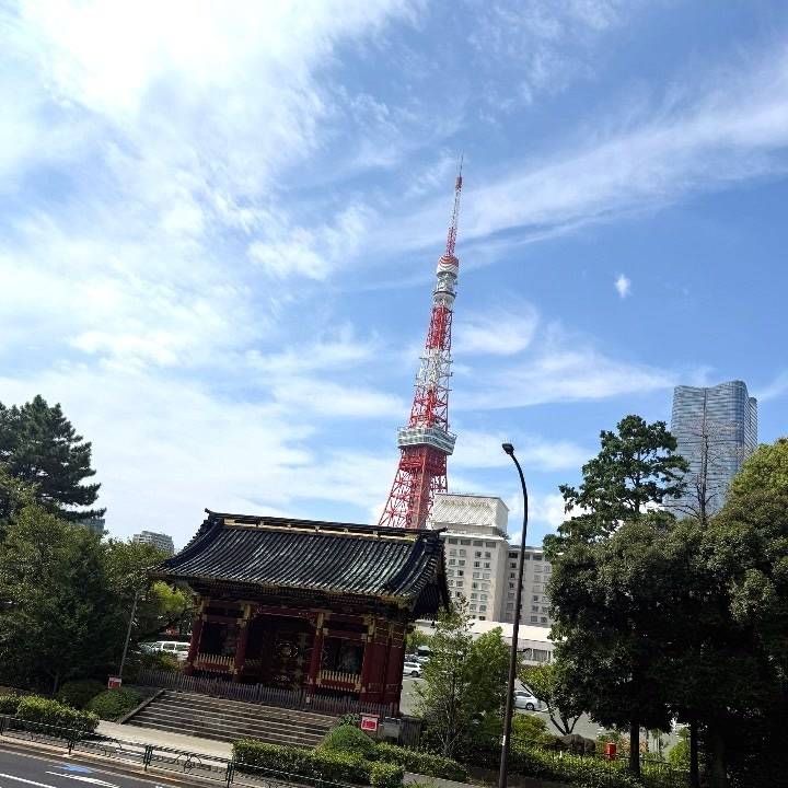 今日は