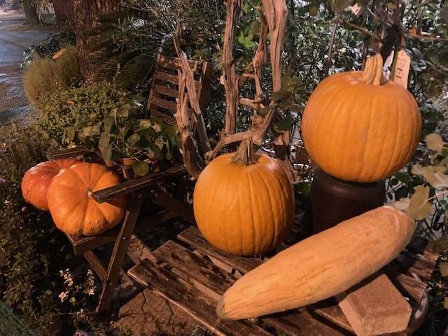 10月後半の予定☆